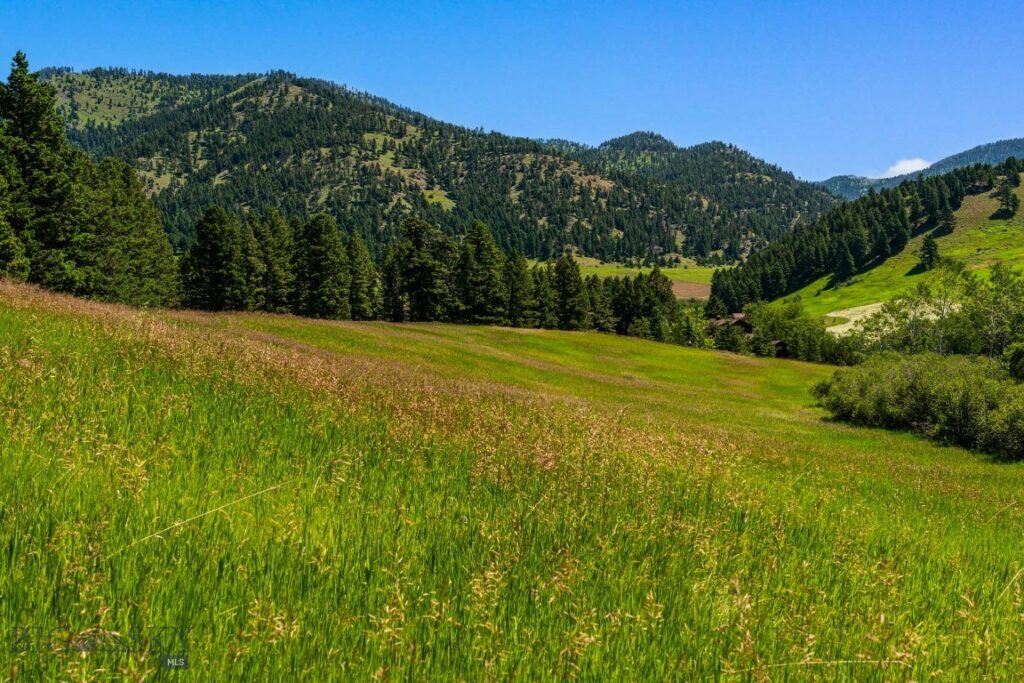 TBD Jackson Creek Road, Bozeman MT 59715