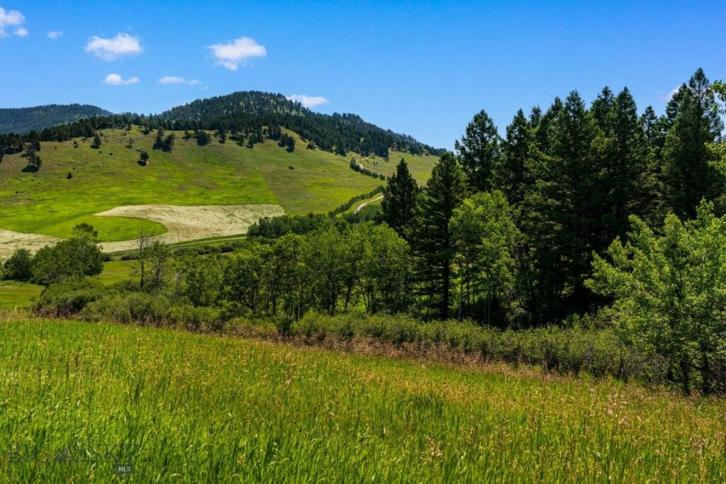 TBD Jackson Creek Road, Bozeman MT 59715