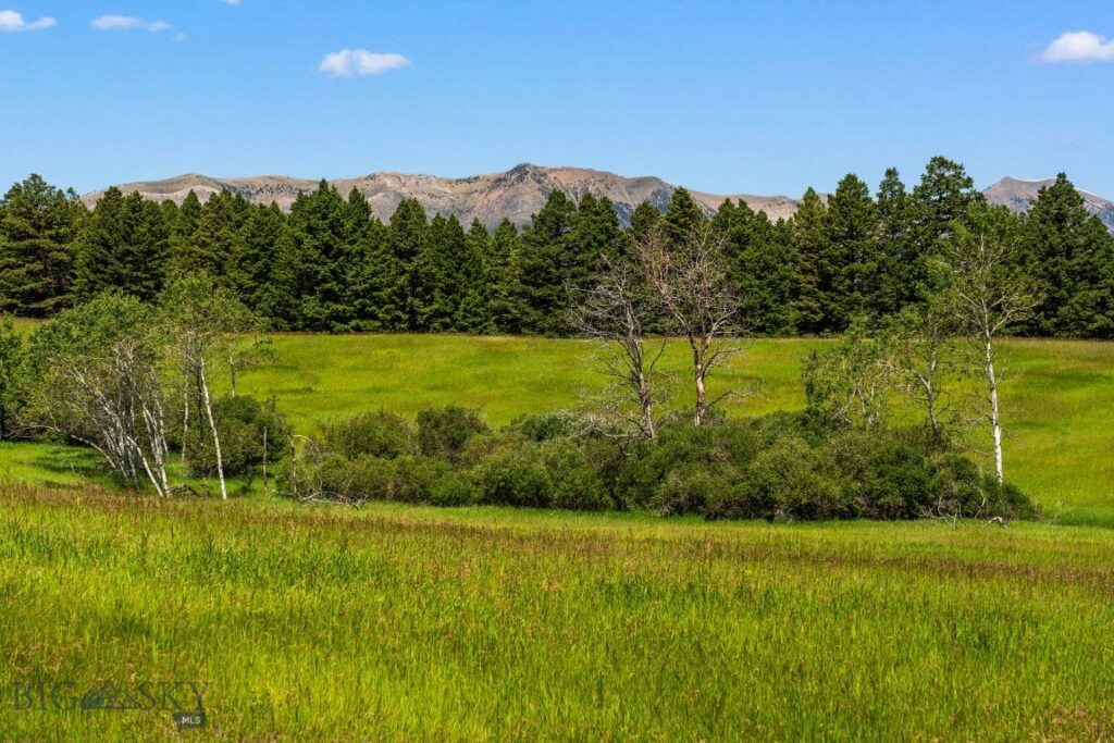 TBD Jackson Creek Road, Bozeman MT 59715