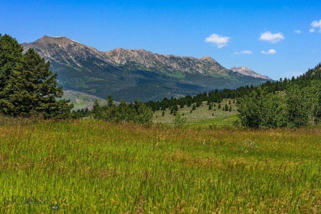 TBD Jackson Creek Road, Bozeman MT 59715