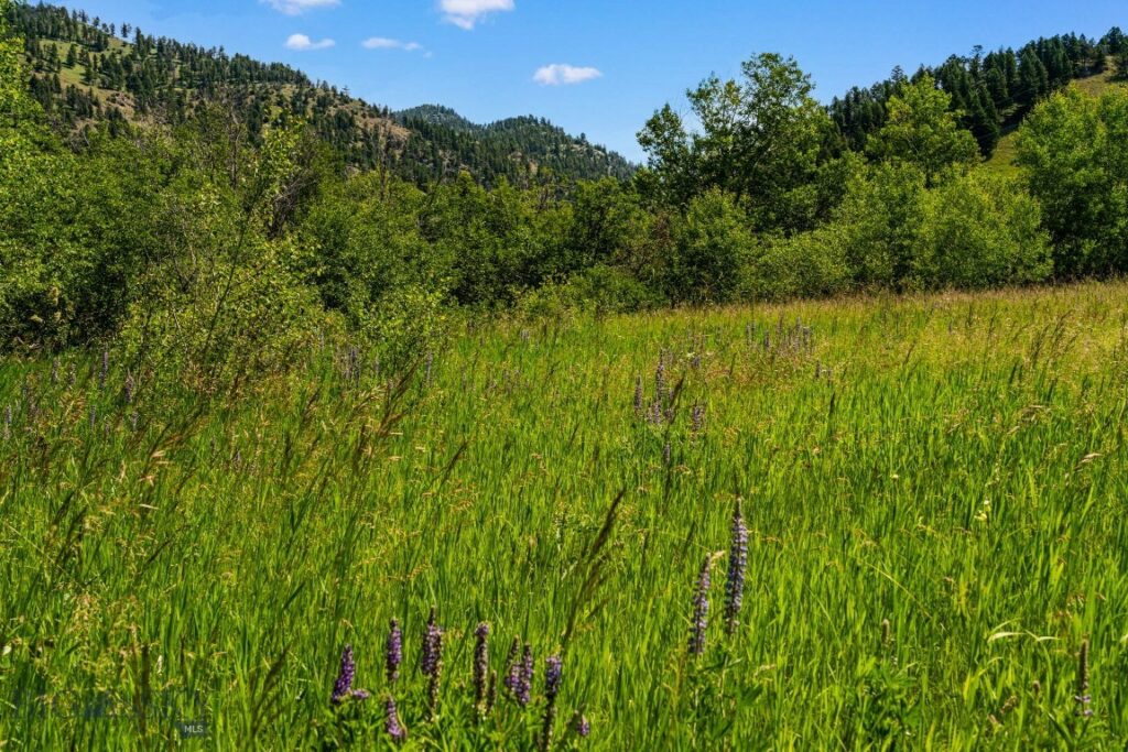 TBD Jackson Creek Road, Bozeman MT 59715