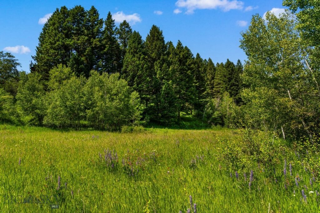 TBD Jackson Creek Road, Bozeman MT 59715