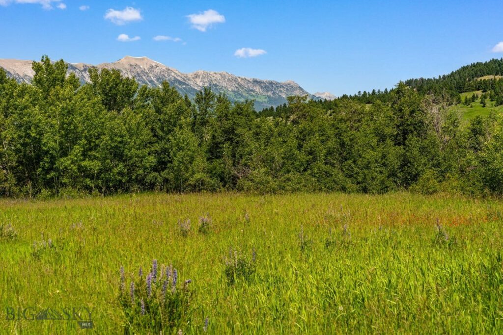 TBD Jackson Creek Road, Bozeman MT 59715