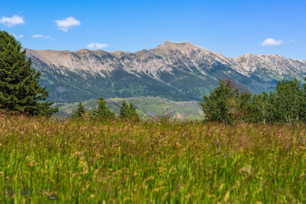 TBD Jackson Creek Road, Bozeman MT 59715