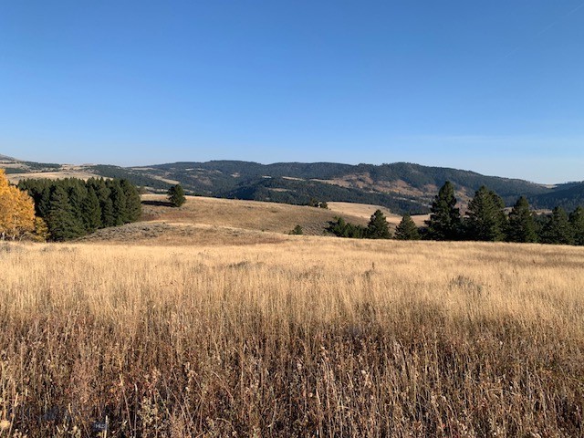 TBD Petterson Road, Bozeman MT 59715