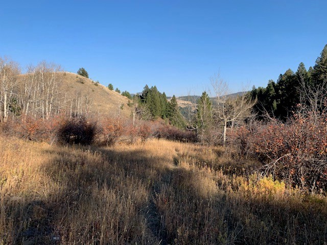 TBD Petterson Road, Bozeman MT 59715